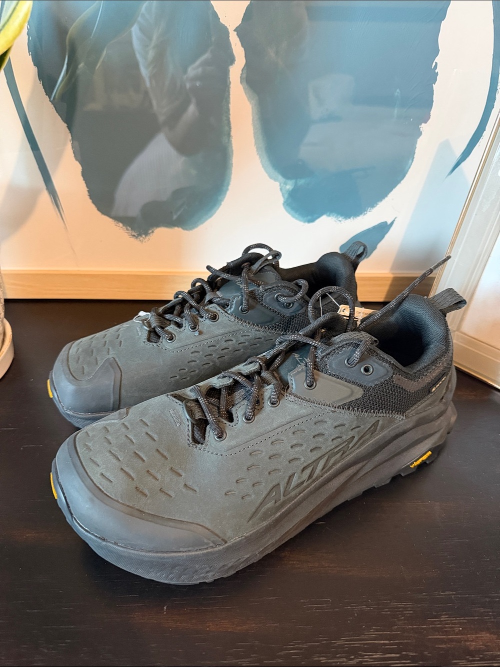 NWT Altra Women's Olympus 6 Hike Low GTX Black Shoes